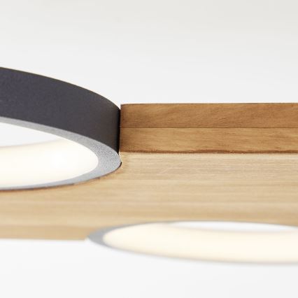 Brilliant - LED Stropné svietidlo CHEESY LED/28W/230V borovica