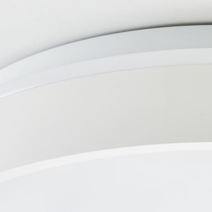 Brilliant - LED Stropné svietidlo KALMAR LED/26W/230V 3000K pr. 39 cm biela