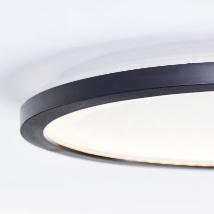 Brilliant - LED Stropné svietidlo MOSAKO LED/16W/230V 3000K pr. 25 cm čierna