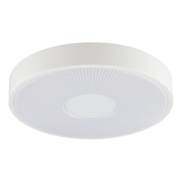 Brilliant - LED stropné svietidlo RAKIN LED/18W/230V priemer 33,5 cm biele