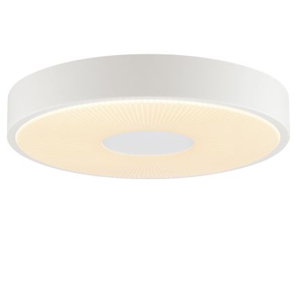 Brilliant - LED stropné svietidlo RAKIN LED/18W/230V priemer 33,5 cm biele