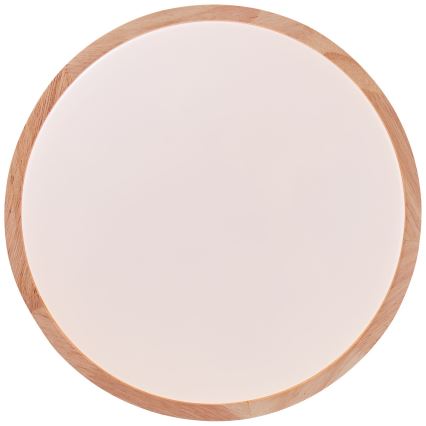 Brilliant - LED Stropné svietidlo SLIMLINE LED/14W/230V 3000/4000K gumovník