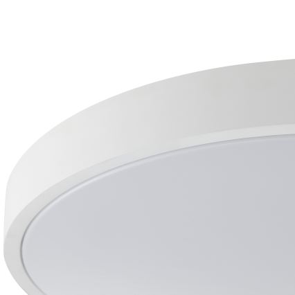 Brilliant - LED stropné svietidlo SOLISTRA LED/18W/230V pr. 34,5 cm biela