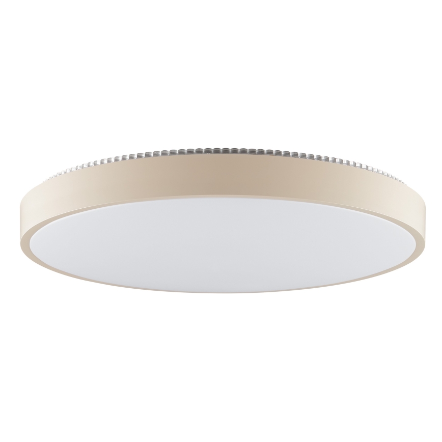 Brilliant - LED stropné svietidlo SOLISTRA LED/36W/230V pr. 54 cm béžové