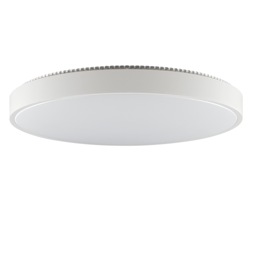 Brilliant - LED stropné svietidlo SOLISTRA LED/36W/230V, pr. 54 cm, biela