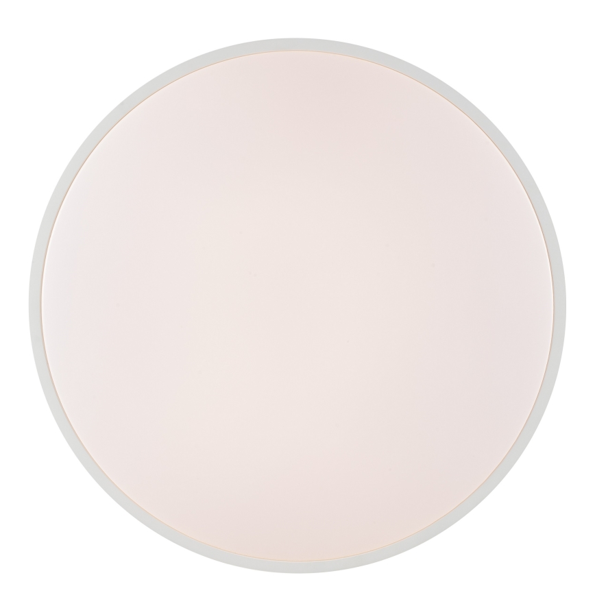 Brilliant - LED stropné svietidlo SOLISTRA LED/36W/230V, pr. 54 cm, biela