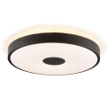 Brilliant - LED stropné svietidlo TAVIS LED/24W/230V pr. 44,5 cm čierne