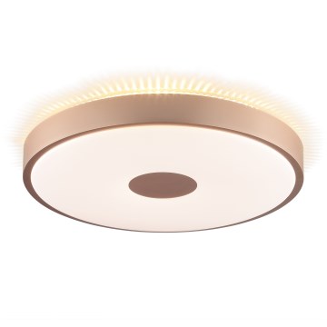 Brilliant - LED stropné svietidlo TAVIS LED/24W/230V pr. 44,5 cm ružové zlato