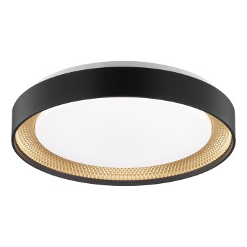 Brilliant - Stmievané stropné LED svietidlo WALDO LED/24W/230V 3000–6500K priemer 38,5 cm čierne/zlaté + diaľkové ovládanie