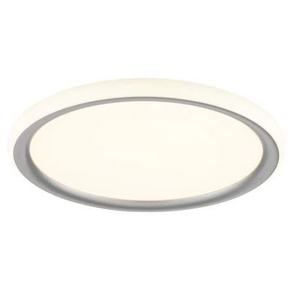 Brilliant - stmievané LED stropné svietidlo CARLOZ LED/16W/230V pr. 30 cm biela/šedá