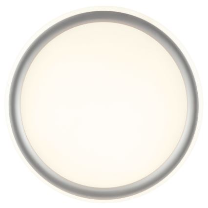 Brilliant - stmievané LED stropné svietidlo CARLOZ LED/16W/230V pr. 30 cm biela/šedá