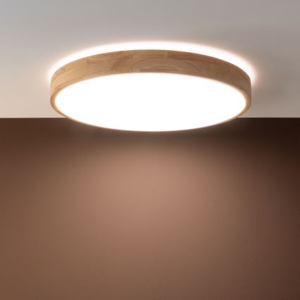 Brilliant - LED stmievateľné stropné svietidlo SLIMLINE LED/60W/230V 3000-6500K priemer 45 cm gumovník + diaľkové ovládanie