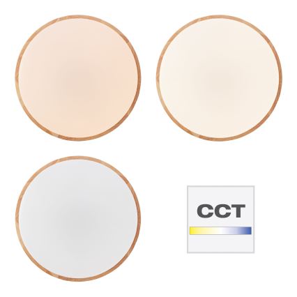 Brilliant - LED stmievateľné stropné svietidlo SLIMLINE LED/60W/230V 3000-6500K priemer 45 cm gumovník + diaľkové ovládanie