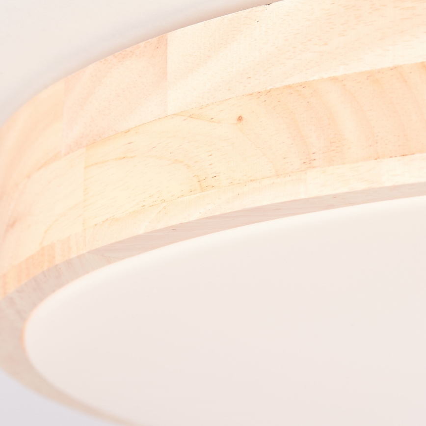 Brilliant - LED stmievateľné stropné svietidlo SLIMLINE LED/60W/230V 3000-6500K priemer 45 cm gumovník + diaľkové ovládanie