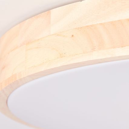 Brilliant - LED stmievateľné stropné svietidlo SLIMLINE LED/60W/230V 3000-6500K priemer 45 cm gumovník + diaľkové ovládanie