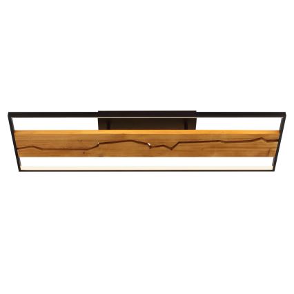 Brilliant - LED Stmievateľné stropné svietidlo THUNDER LED/42W/230V borovica