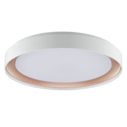 Brilliant - LED stmievateľné stropné svietidlo WALDO LED/36W/230V 3000-6500K pr. 48,5 cm biela/ružové zlato + diaľkové ovládanie