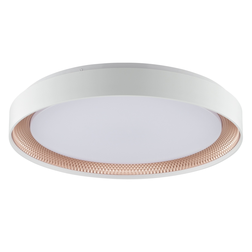 Brilliant - LED stmievateľné stropné svietidlo WALDO LED/36W/230V 3000-6500K pr. 48,5 cm biela/ružové zlato + diaľkové ovládanie