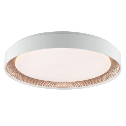 Brilliant - LED stmievateľné stropné svietidlo WALDO LED/36W/230V 3000-6500K pr. 48,5 cm biela/ružové zlato + diaľkové ovládanie