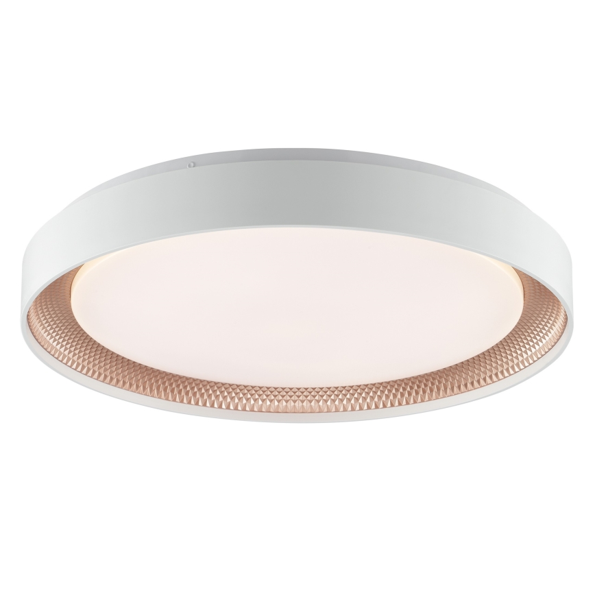 Brilliant - LED stmievateľné stropné svietidlo WALDO LED/36W/230V 3000-6500K pr. 48,5 cm biela/ružové zlato + diaľkové ovládanie