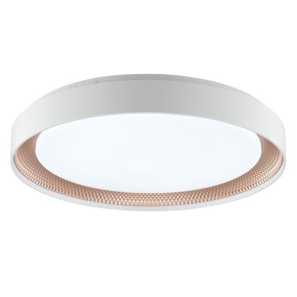 Brilliant - LED stmievateľné stropné svietidlo WALDO LED/36W/230V 3000-6500K pr. 48,5 cm biela/ružové zlato + diaľkové ovládanie