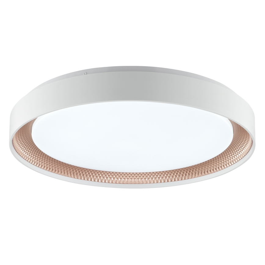 Brilliant - LED stmievateľné stropné svietidlo WALDO LED/36W/230V 3000-6500K pr. 48,5 cm biela/ružové zlato + diaľkové ovládanie