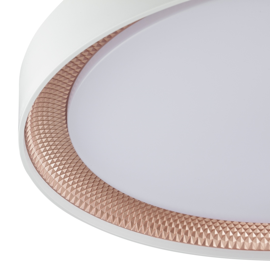 Brilliant - LED stmievateľné stropné svietidlo WALDO LED/36W/230V 3000-6500K pr. 48,5 cm biela/ružové zlato + diaľkové ovládanie