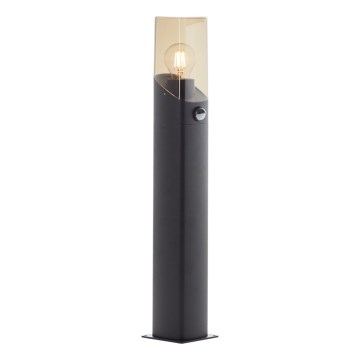 Brilliant - Vonkajšia lampa so senzorom MINOU 1xE27/10W/230V IP44 čierna/dymová