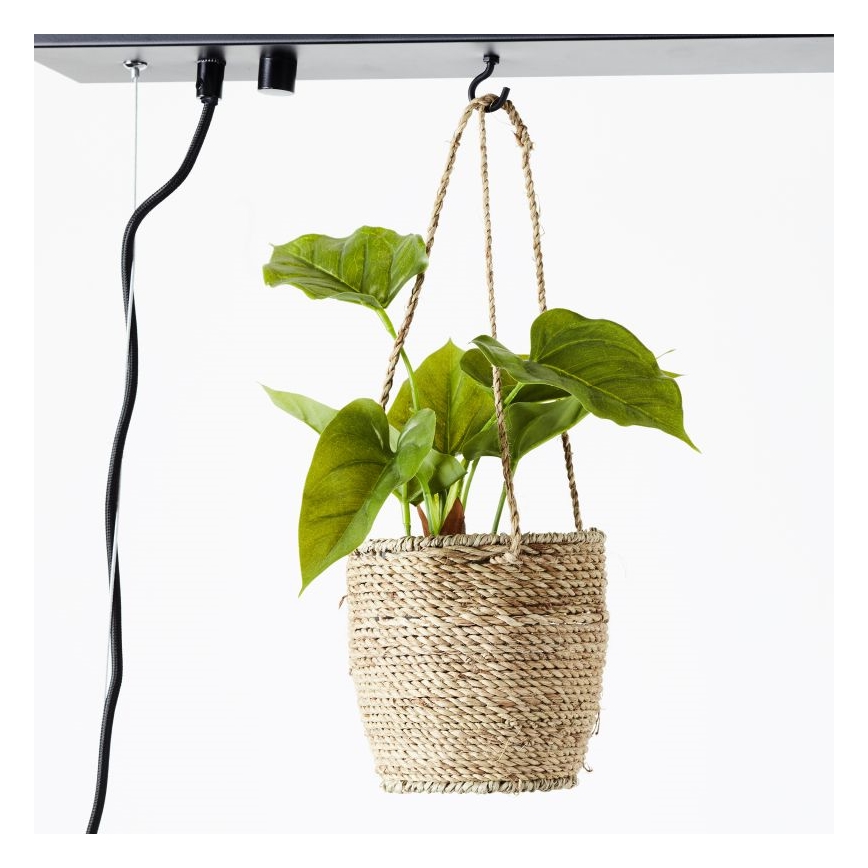 Brilliant - Závesný luster BANKWOOD 5xE27/28W/230V, topoľ