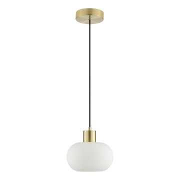 Brilliant - Závesný luster na lankách FANNY 1xE27/20W/230V priemer 22 cm mosadz