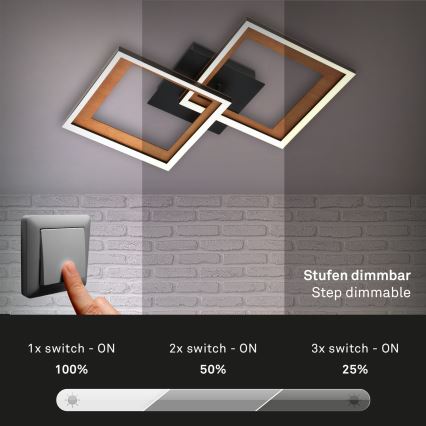 Brilo - LED Stmievateľný prisadený luster FRAME 2xLED/11W/230V