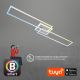 Brilo - LED Stmievateľný prisadený luster FRAME 2xLED/20W/230V 2700-6500K Wi-Fi Tuya + diaľkové ovládanie