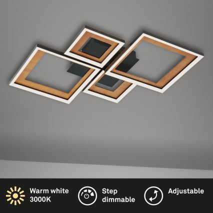 Brilo - LED Stmievateľný prisadený luster FRAME LED/38W/230V