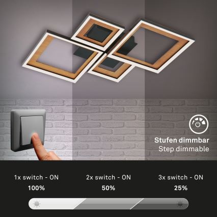 Brilo - LED Stmievateľný prisadený luster FRAME LED/38W/230V