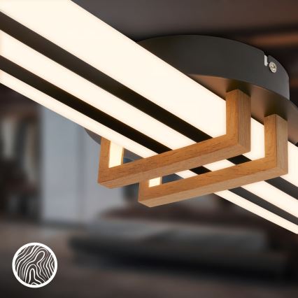 Brilo - LED stropné svietidlo TINKA LED/30W/230V 3000K čierne