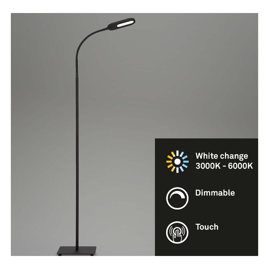 Briloner 1297-015 - LED Stmievateľná flexibilná stojacia lampa LED/6,6W/230V 3000K/4000K/6000K
