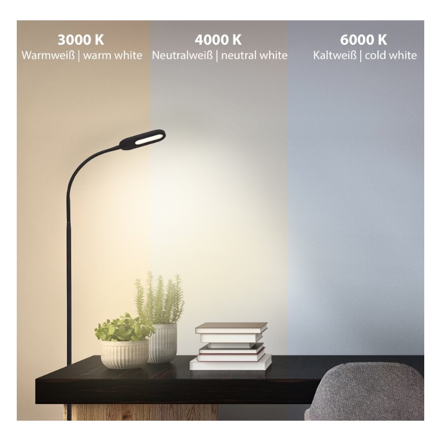 Briloner 1297-015 - LED Stmievateľná flexibilná stojacia lampa LED/6,6W/230V 3000K/4000K/6000K