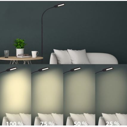 Briloner 1297-015 - LED Stmievateľná flexibilná stojacia lampa LED/6,6W/230V 3000K/4000K/6000K