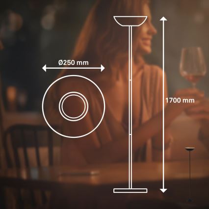 Briloner 1500015 - LED Stmievateľná stojacia lampa ESTATE LED/8W/5V 4000 mAh čierna