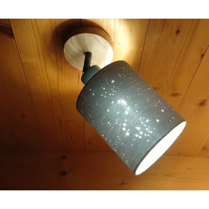 Briloner 2078-011 - Nástenné bodové svietidlo SPOTLIGHT 1xE27/25W/230V béžová