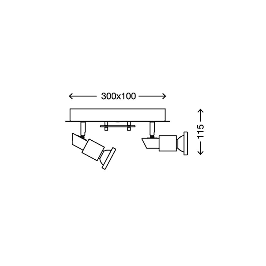 Briloner 2879-032 - LED Stropné svietidlo COMBINATA 2xGU10/3W + LED/5W/230V