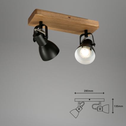 Briloner 2902-025 - Bodové svietidlo SPOT 2xGU10/35W/230V