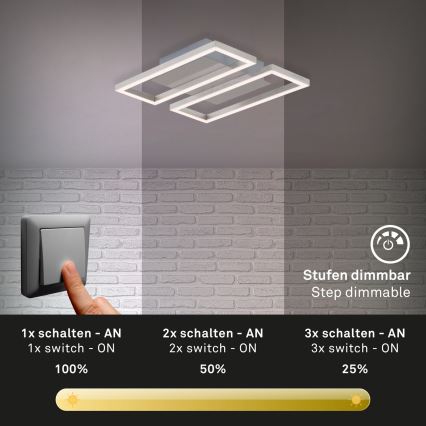 Briloner 3107-012 - LED Stmievateľné stropné svietidlo FRAME 2xLED/7,25W/230V