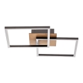 Briloner 3210-014 - LED Stmievateľné stropné svietidlo FRAME 2xLED/11W/230V hnedá
