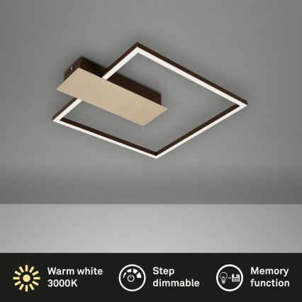 Briloner 3544-017 - LED Stmievateľné stropné svietidlo NICO LED/12W/230V zlatá