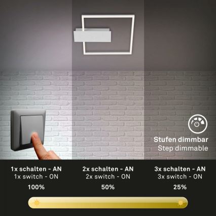 Briloner 3544-018 - LED Stmievateľné stropné svietidlo NICO LED/12W/230V matný chróm