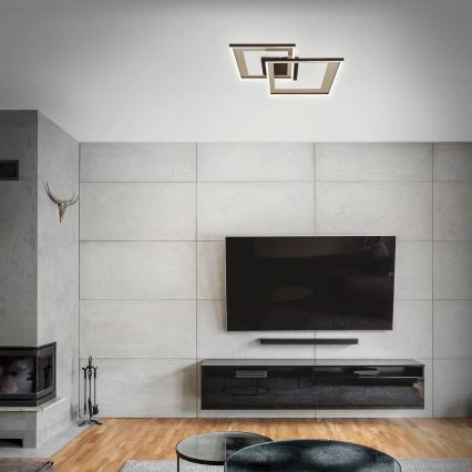 Briloner 3567-017 - LED stmievateľné stropné svietidlo LED/25W/230V 3000-6500K 56,8x48cm + diaľkové ovládanie