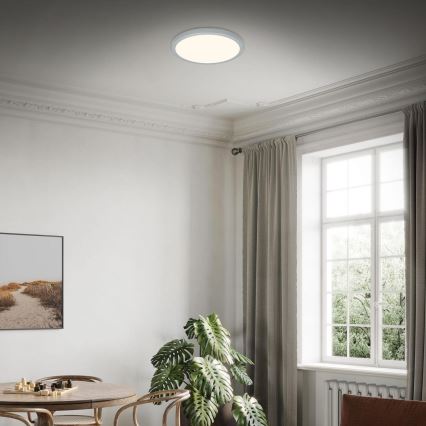 Briloner 3703-014 - LED Stropné svietidlo RUNA LED/24W/230V 3000K pr. 38 cm strieborná