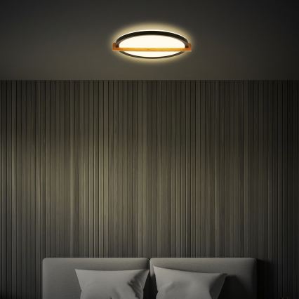 Briloner 3844015 - LED stropné svietidlo LED/18W/230V, priemer 31,5 cm