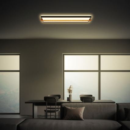 Briloner 3846015 - LED stropné svietidlo REMSA LED/22W/230V 3000K 60,5x20 cm čierna